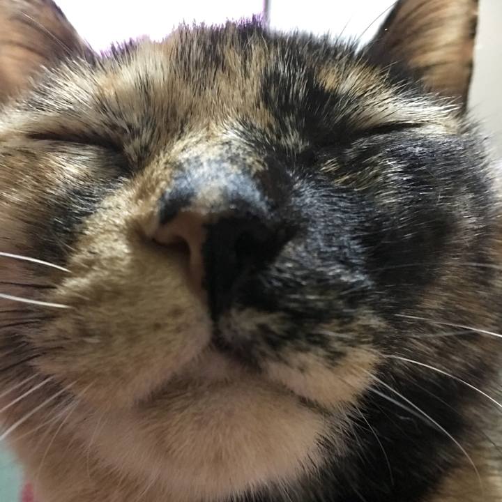 079d967d 43dc 4894 808c a55a07c404fd