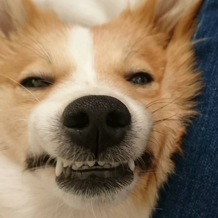 079dc142 5bed 4797 b07f 0a833af3b1db