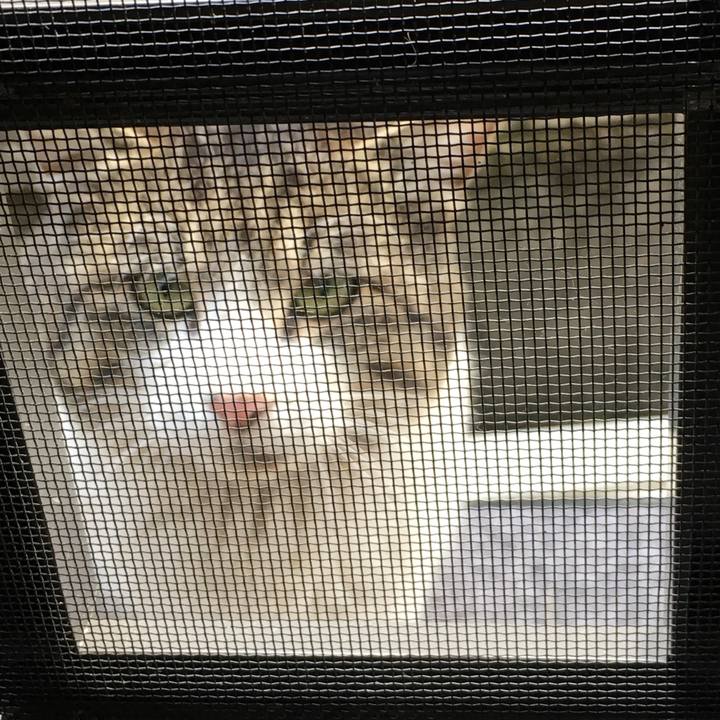 079dd0e6 0a01 4302 9ea2 9aea45d0454b