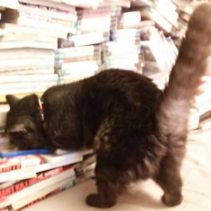 079ddc85 54d6 424d b5a3 13d98624d62e