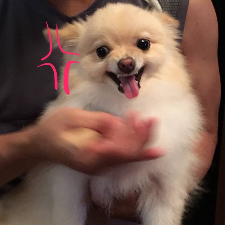 079e0bb7 63ca 486c b037 cb127b84805f