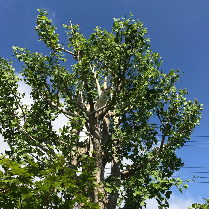 079ef6c7 642c 46c7 bf9d be2451b630af