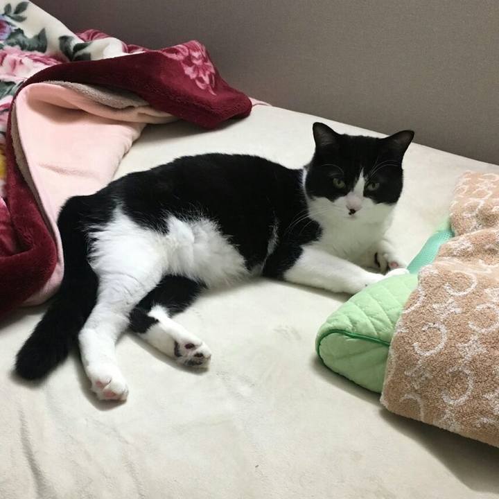 079f0821 d017 4198 b84b 080ddf1a5c82