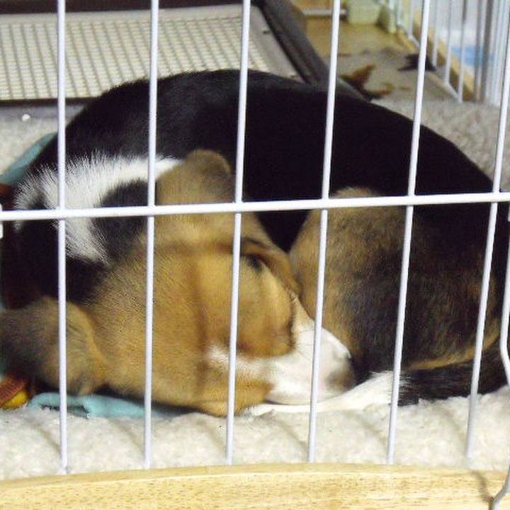 079fae8a 5640 489f bf37 08ebb917c93f