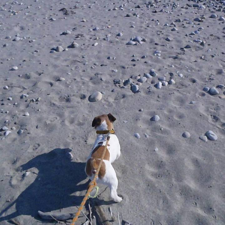 079fbe88 8030 46d7 ade4 bf4036b9bff2