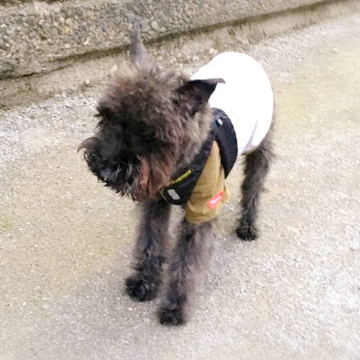 079ff3da cda2 4f3b 9d19 bd8f58bff86f