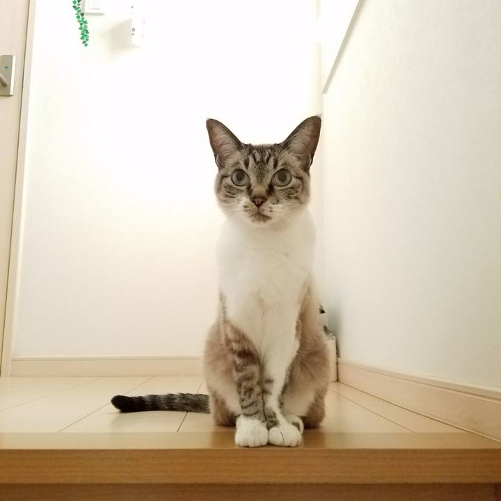 079ff5b2 c58d 4957 92e8 954fc618a6f0