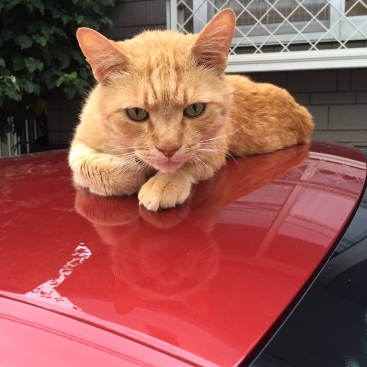 07a02504 515a 426f 9dfb 276934268695