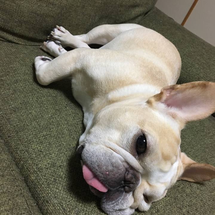 07a02966 34e8 4650 9d73 06f69e43bb74