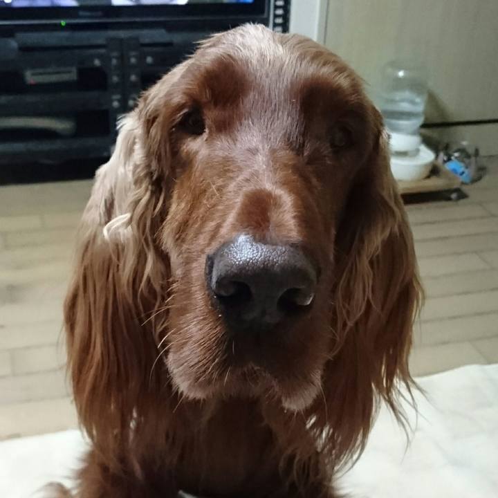 07a12dd2 2228 4deb 9d17 80f0d5dfd987