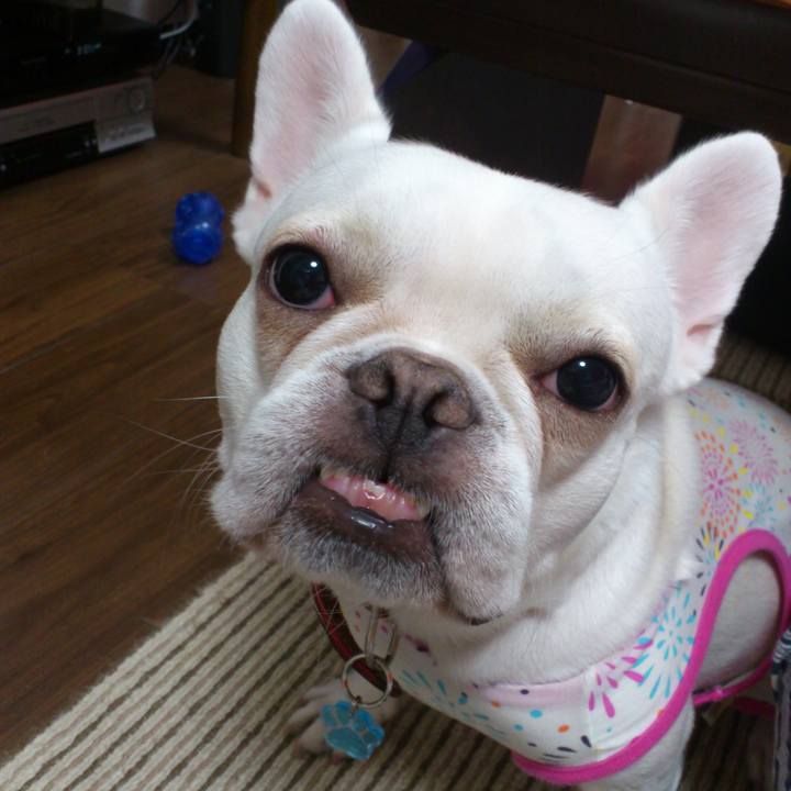 07a1441f e479 4e5f 9506 60c2e48cbae0