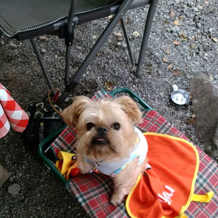 07a17f90 02b4 4fe8 86c8 54253240c62b