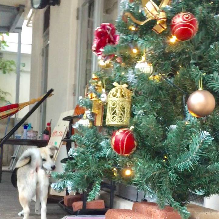 07a1a913 d64a 40cb a6e2 39dc35a32ebf