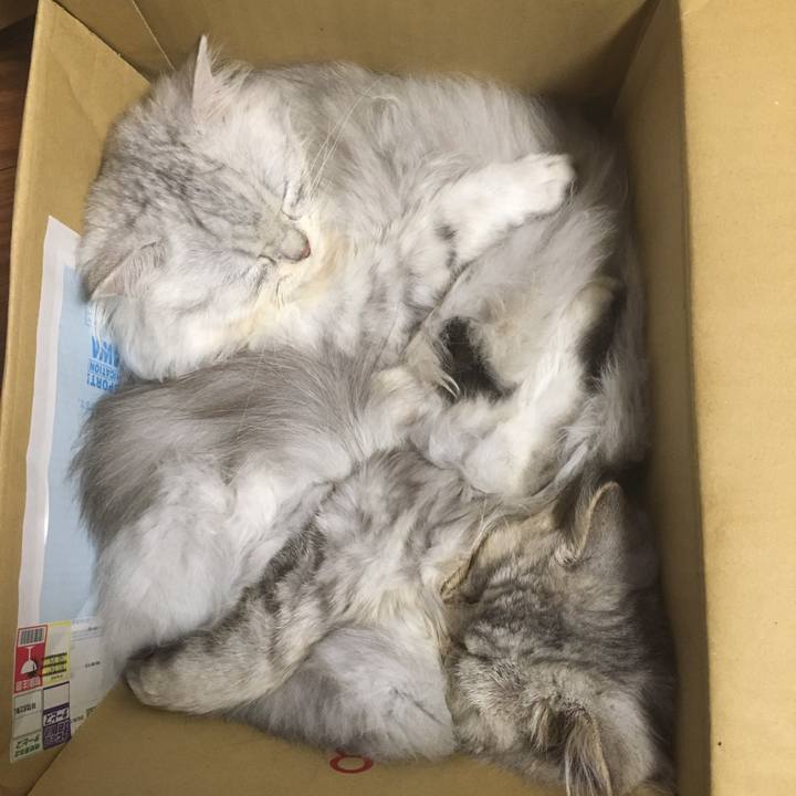 07a1daf2 7f9d 4ac8 be2d 69b57f85ea66