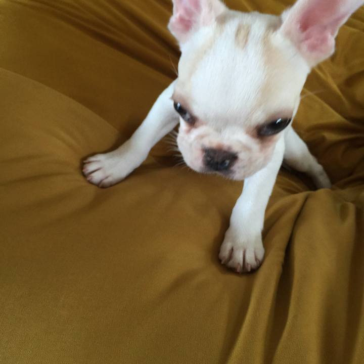 07a27fd5 f00f 43a0 8049 b7c10f7cc6d5