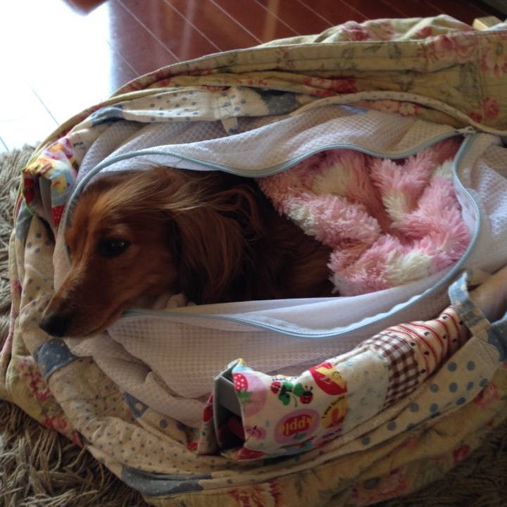 07a2c4c9 4d12 4a64 9d3d 9389d53c84c0