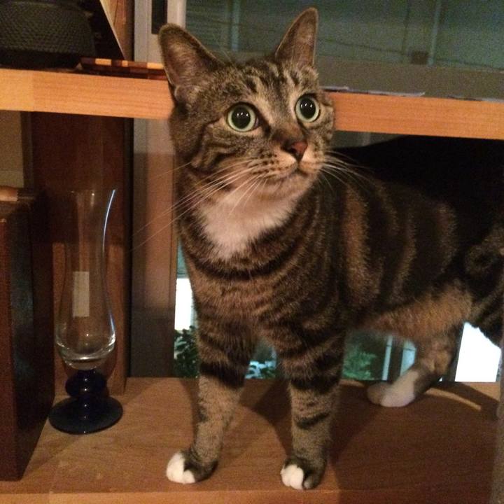 07a2f269 7a1b 41a1 a6b8 65cce89dd326