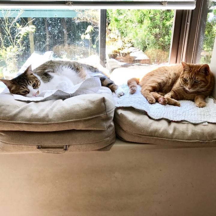 07a30e81 9a2f 4e5d 9833 a949b4a3cbf9