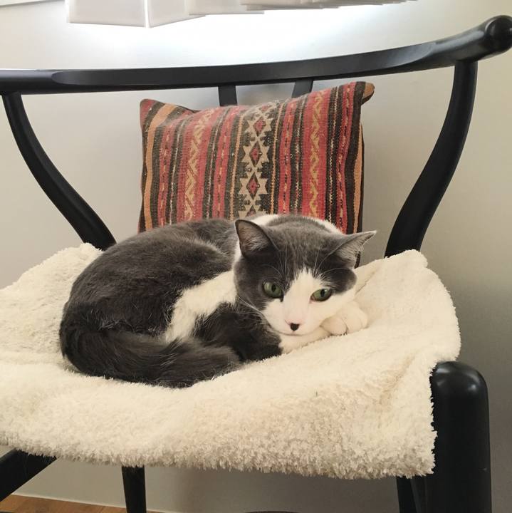 07a3b627 6591 4e69 a09b acb003b9adfc