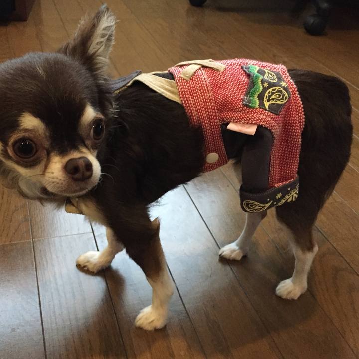 07a3d60e 8987 43f2 a845 cb46b5dde5d7