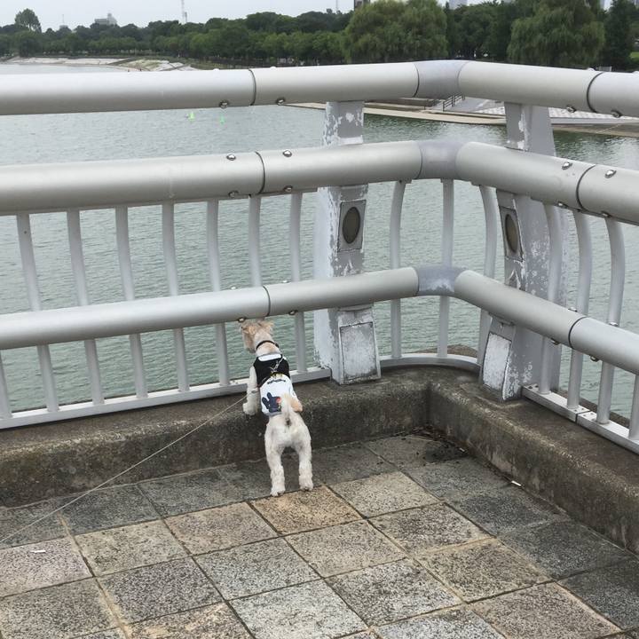 07a3fcf6 ed10 446a a24f b30dcad8398a