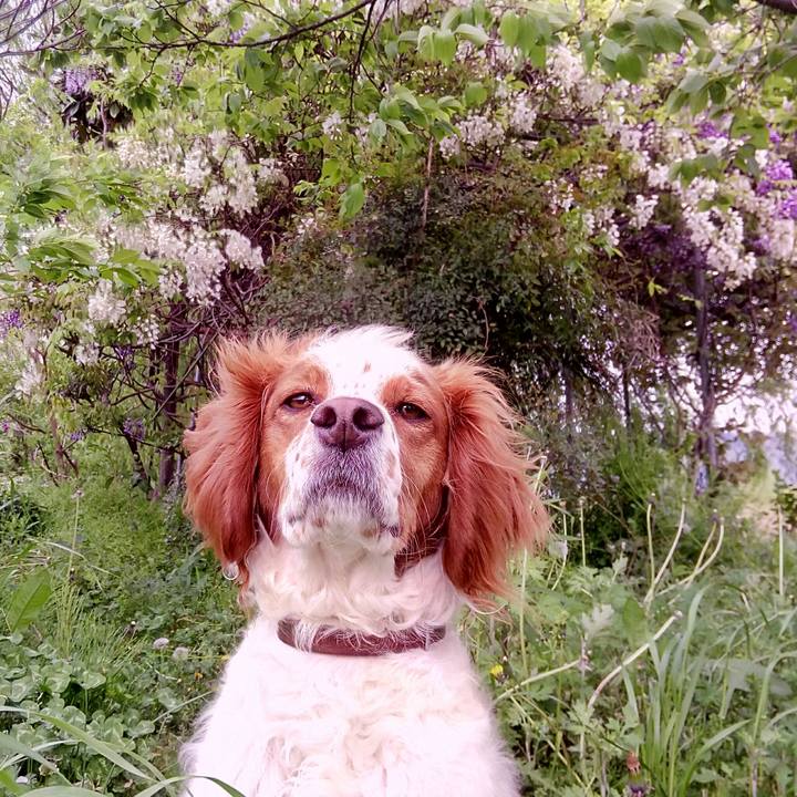 07a4c810 9269 4cce 9f4e 43e9b8e7230d