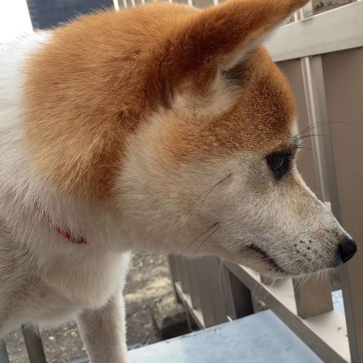 07a655bc 17e4 4acd 9036 122366b84ed7