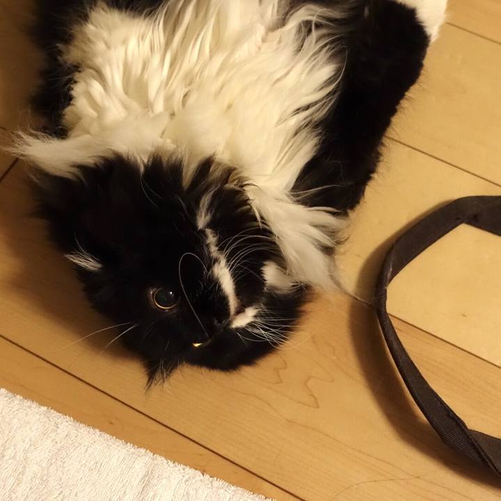 07a6aa01 cc76 451f b75f cd6f4c2c4361