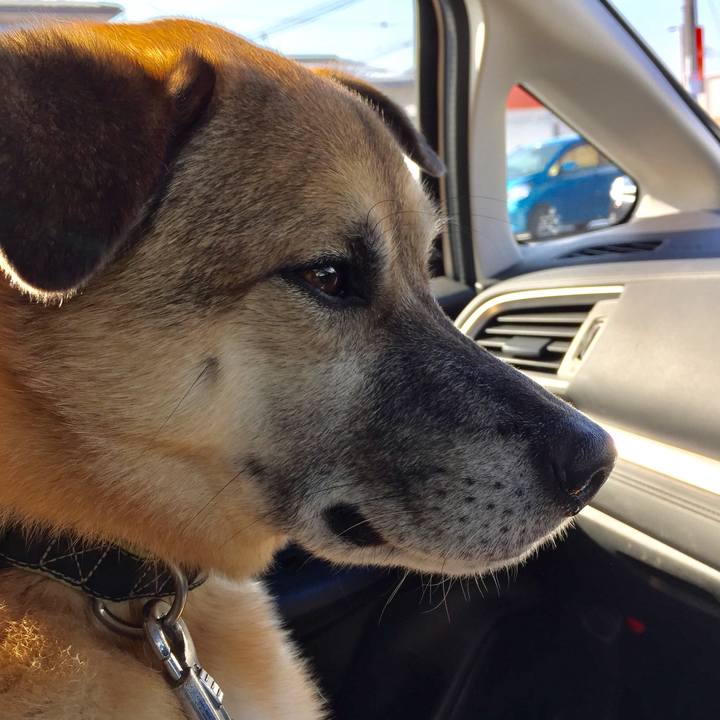 07a765da 5418 4ca2 9881 11cd527e9ed7