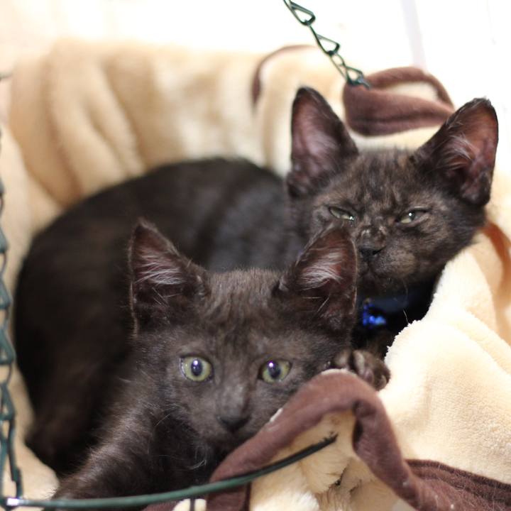 07a847b3 60f2 4af2 8b56 e5e7164326c2