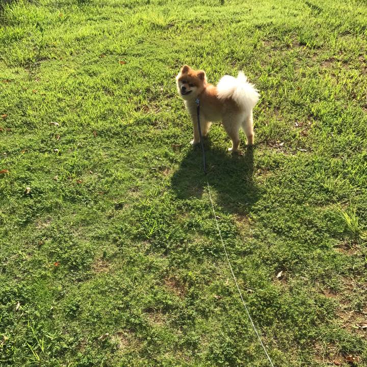 07a84dac 196a 4301 94b4 cc8b5ee26ce7