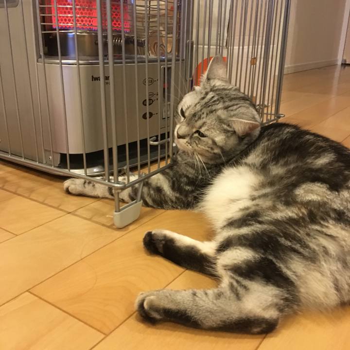 07a8953c 30b9 4c9c 98be 969f95294f04