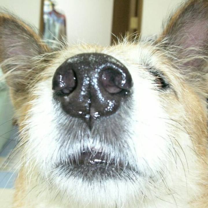 07a8aa23 3975 486d bb28 d18d66d9319f