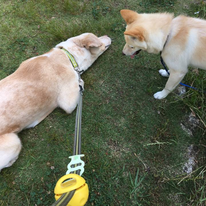 07a919a8 6c1a 4259 9748 b44980bf6f48