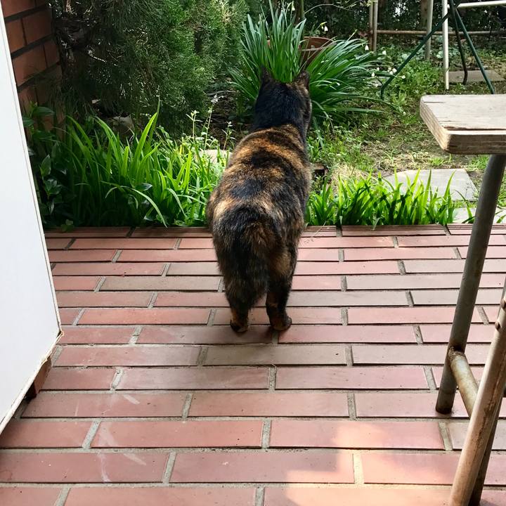 07a920ee 2a9f 48b8 8076 a0cba617d587