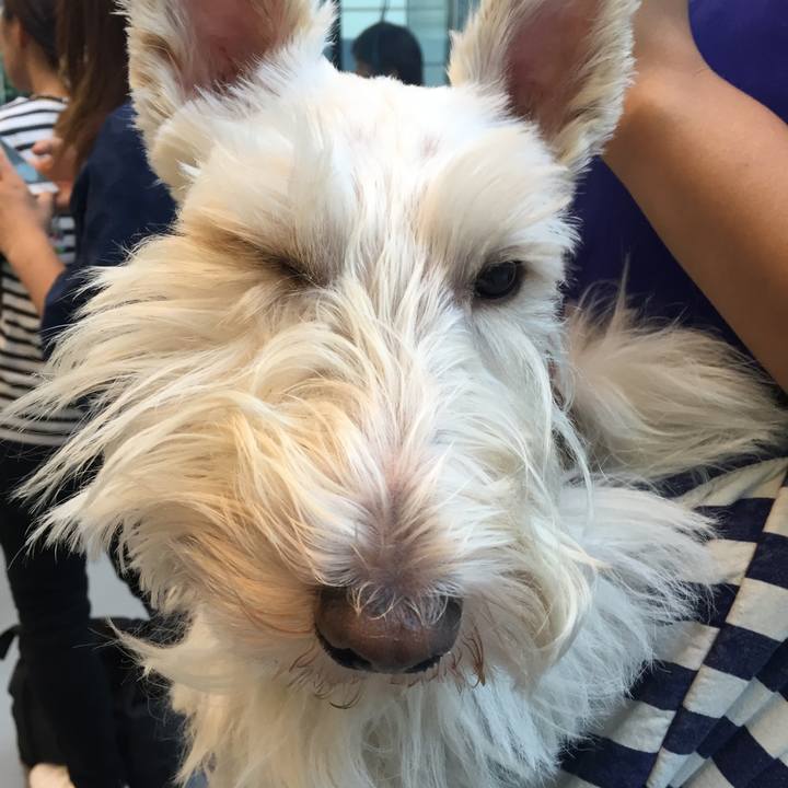 07a97b61 c245 4bba ad97 17c0de7c1b97