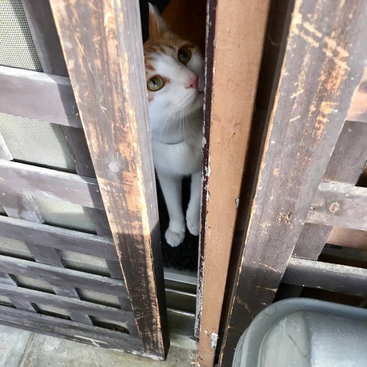 07a9dcd2 8eff 41d1 84de 8f6412fa1c57