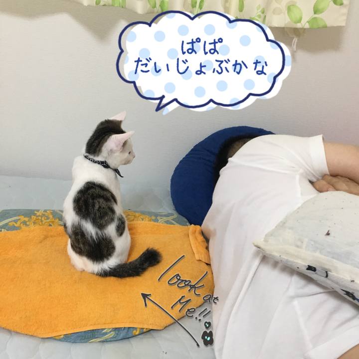 07aa1346 71fb 4833 8218 ef74403b9321