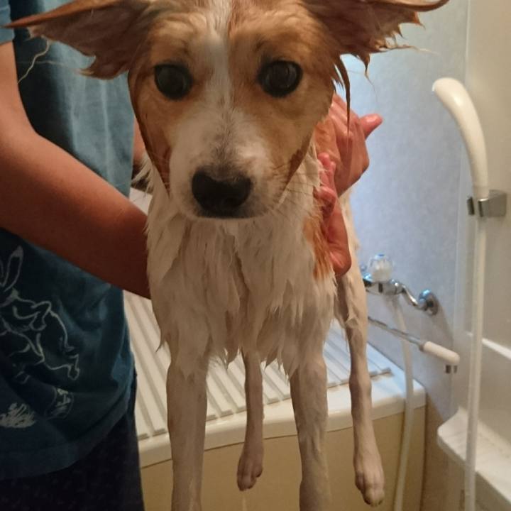 07aa89fb f29d 469e b7a3 a58271ba08b6