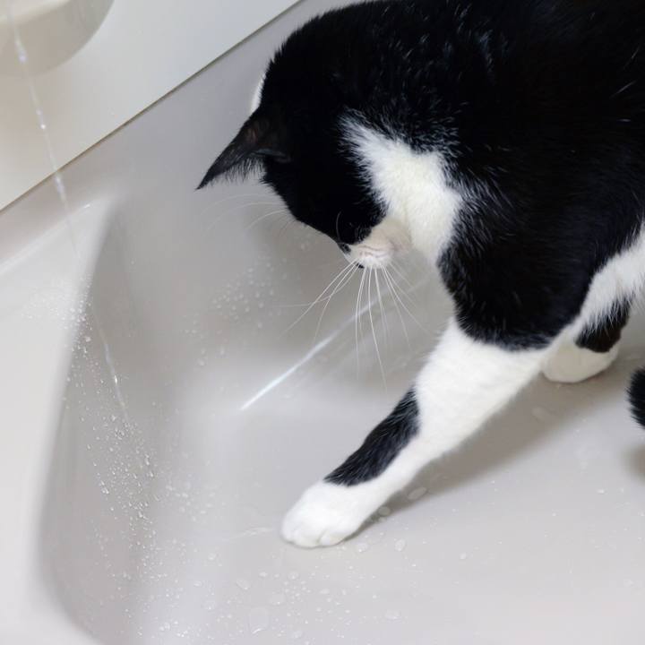 07ab3d32 c82c 46f0 b70b 8d1b637a3cb4