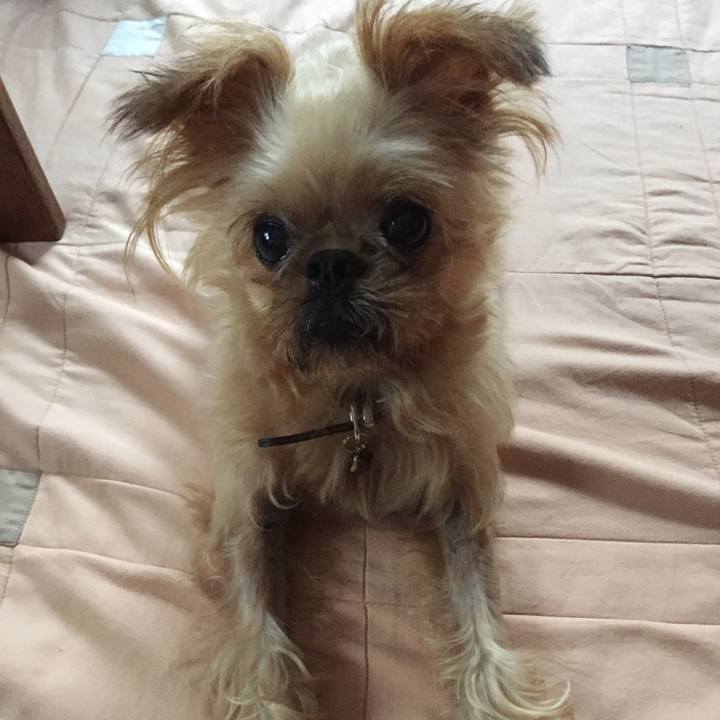 07ab6b41 32b0 487e bcd3 cb1922f045b4