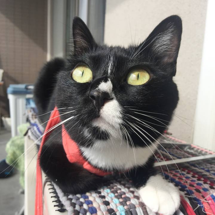 07ab92c4 394c 4ec2 bc4d 316b2fe0b407