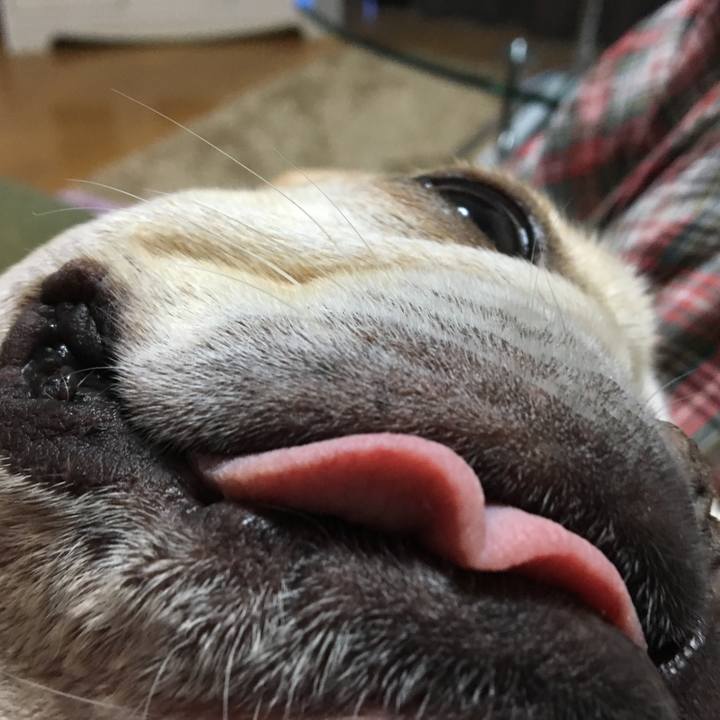 07ac75a5 edce 4d9a 9993 015ecd86fd1c