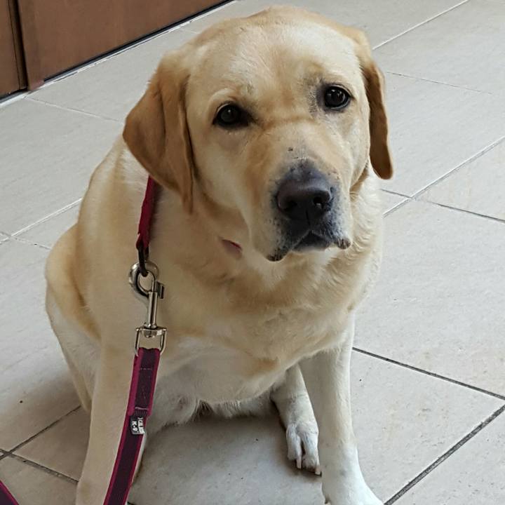 07ac932d 3bf2 45de b102 3590cc9aa111