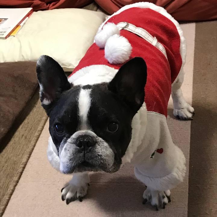 07ac9fe0 85b2 4f80 bae7 7103640aa091