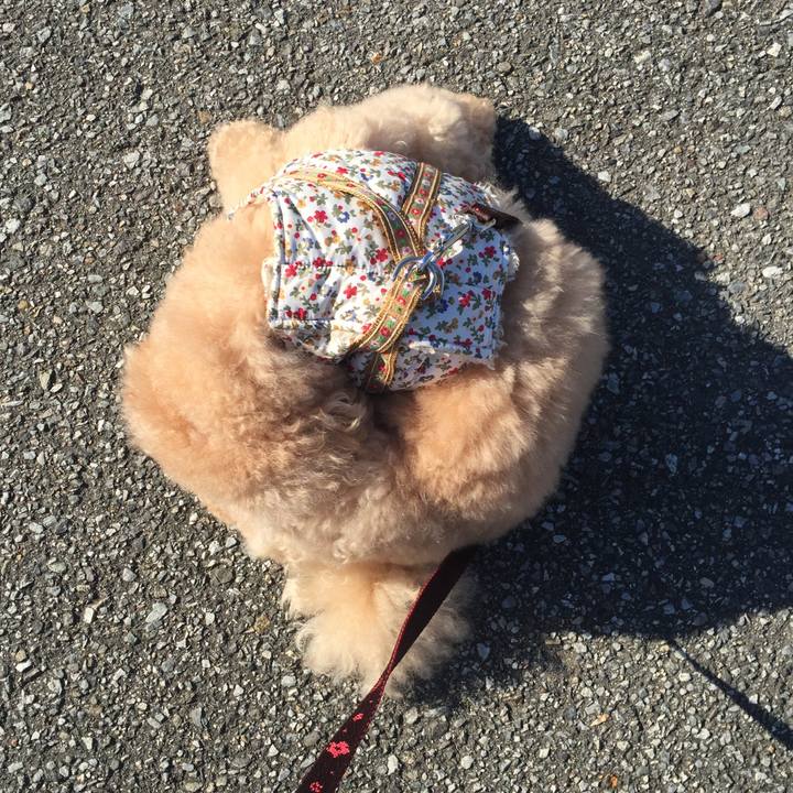 07acb3f4 08de 47e8 bc5a 4be881cc8872