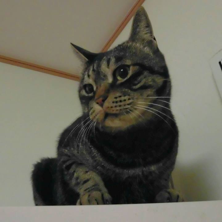 07ad0b17 b5fc 4677 bbdb b7e84579d6fb