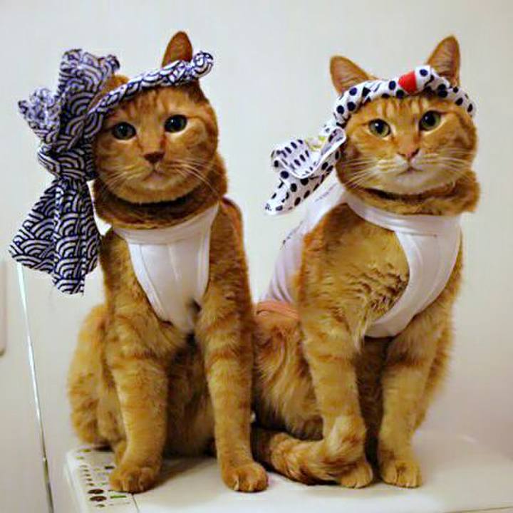 07ad7a2d 6550 41f1 b817 5edd325e614c