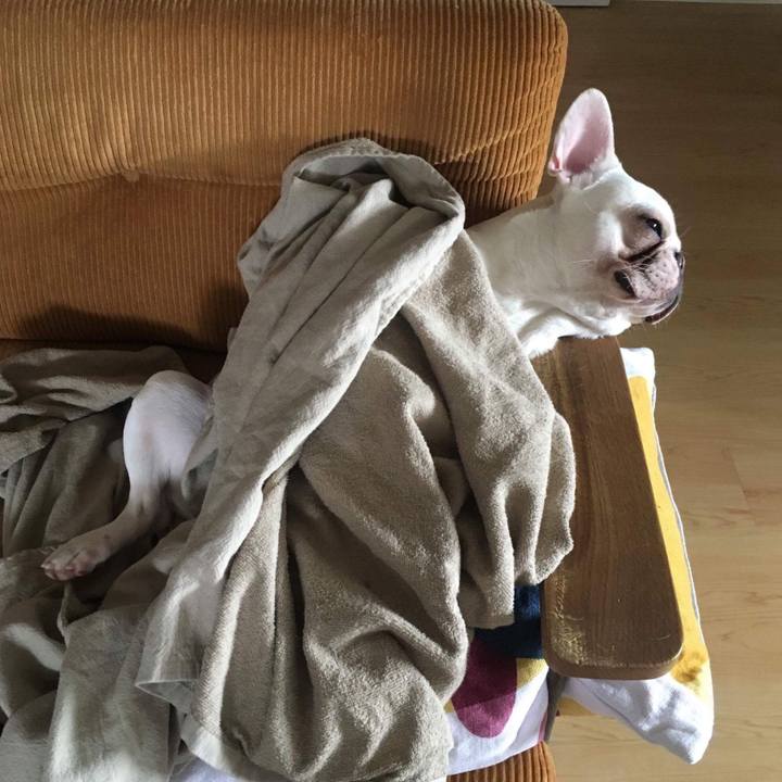 07ad8ff7 745f 4c28 9114 b69fc2a91a11