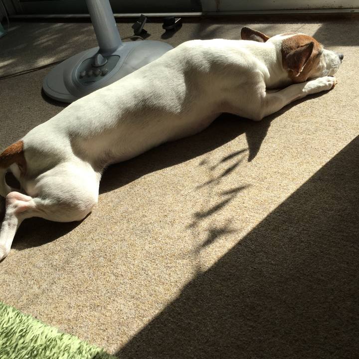 07adfc1b 1050 468e 9741 40a13f92f135